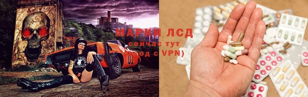 ГАЛЛЮЦИНОГЕННЫЕ ГРИБЫ Абаза