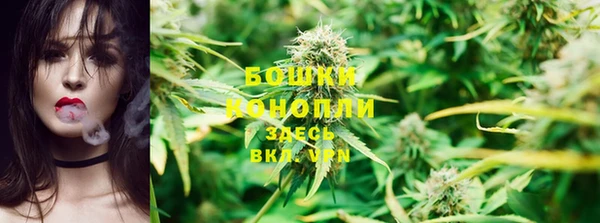 ГАЛЛЮЦИНОГЕННЫЕ ГРИБЫ Абаза